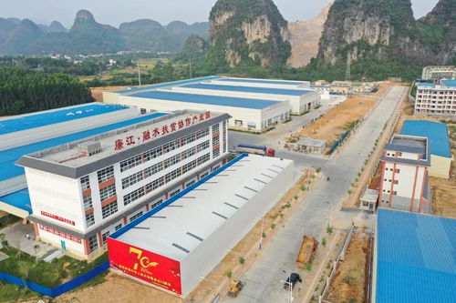 不看不知道 湛柳 聯姻 這三年,啥啥都不一樣了