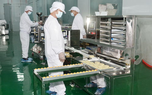 全球首個(gè)ai食品工廠(chǎng)落地 羅定市絲苗米產(chǎn)業(yè)園絲苗米初精深加工項(xiàng)目正式投產(chǎn)