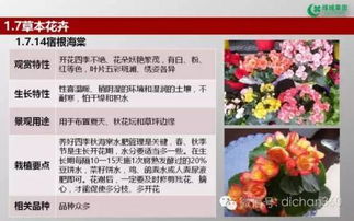 綠城集團園林軟景苗木圖譜,非常全面,值得借鑒 收藏