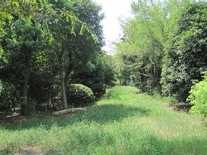 蘇州苗木批發(fā) 苗木批發(fā)價(jià)格,蘇州苗木批發(fā) 苗木批發(fā)價(jià)格生產(chǎn)廠家,蘇州苗木批發(fā) 苗木批發(fā)價(jià)格價(jià)格